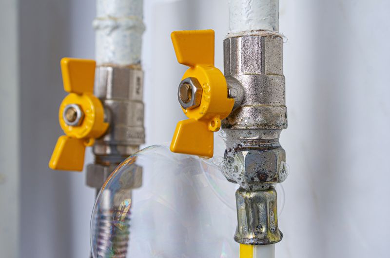 Local Plumbing Companies